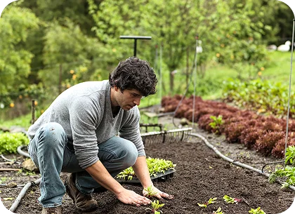 Composting for a Vegetable Garden | HowStuffWorks