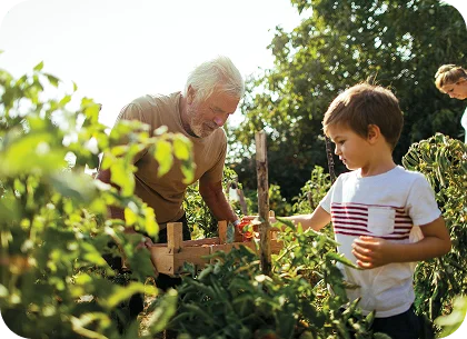 Composting for a Vegetable Garden | HowStuffWorks