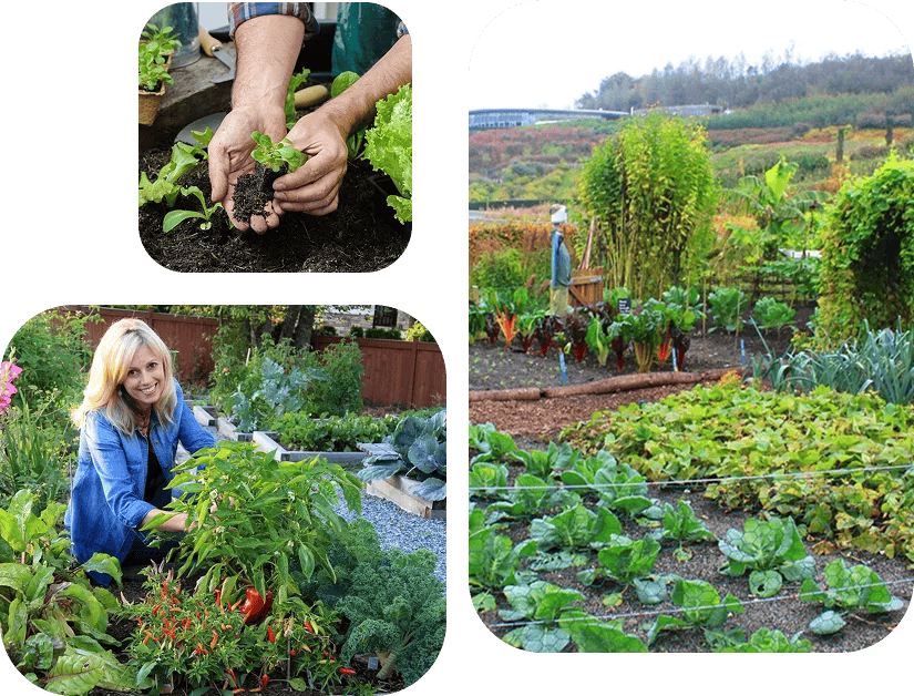 Nora Moore Marsden Mclaughlin